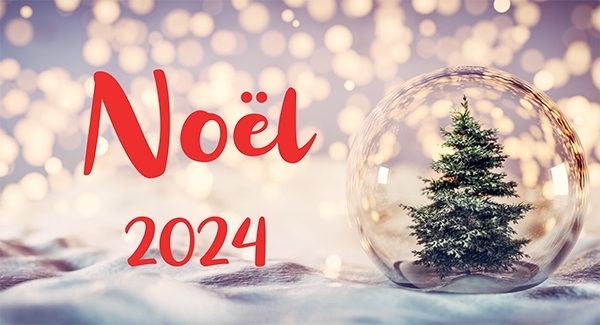 Fête de noël des judokas - 20 décembre 2024