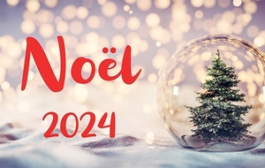 Fête de noël des judokas - 20 décembre 2024