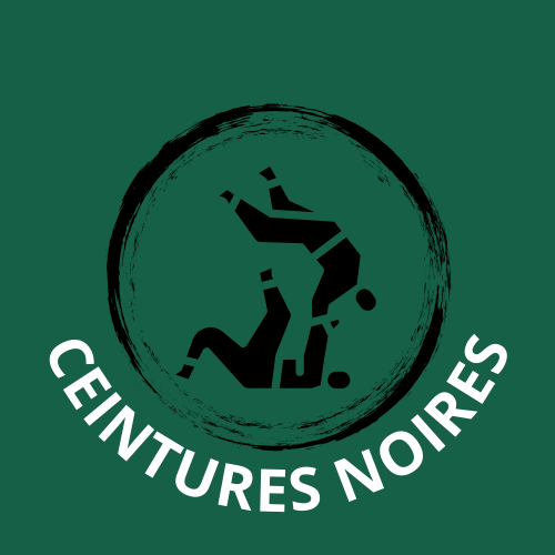 18/01/2026 : Shiai IDF - Les mureaux