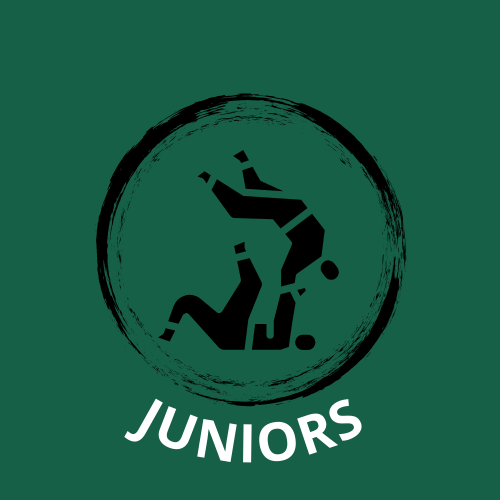 25/01/2026 : Championnat 78 Juniors - Houdan