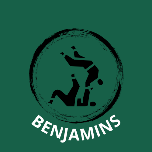 01/02/2026 : Coupe d'hiver Benjamins - Carrières Sous Poissy