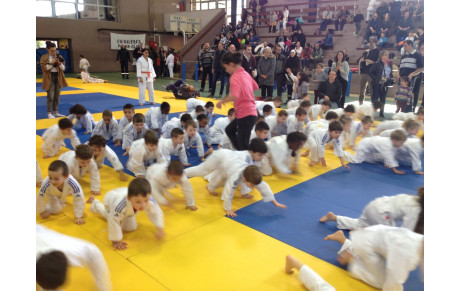 TOURNOI AMICAL DE COIGNIERES, DIMANCHE 11 MARS 2018